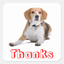 Niedlich danke Beagle-Welpen-Hundegruß-Aufkleber