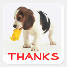 Niedlich danke Beagle-Welpen-Hundegruß-Aufkleber