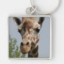 Niedliche Giraffe Schlüsselbänder
