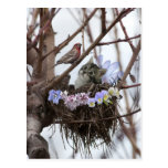 Niedliche Kätzchen- und Vogelnest Ostern-Postkarte