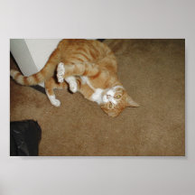 Niedliche Katze, die auf dem Teppich spielt Plakatdrucke