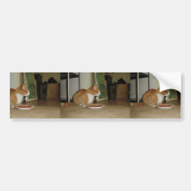 Niedliche Katze, die geht zu essen Auto Sticker
