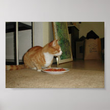 Niedliche Katze, die geht zu essen Plakat