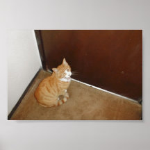 Niedliche Katze nahe der Tür auf dem Teppich Posterdrucke