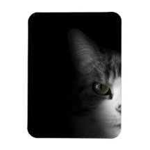 Niedliche Katze Rechteckige Magnete