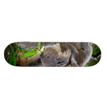Niedliche Koala Skateboard Brett