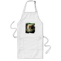 Niedliche Pekingese lange Schürze