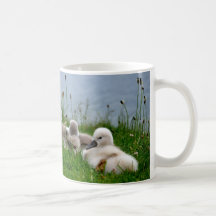 Niedliche Schwan-Babys - Becher Tee Haferl