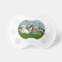 Niedliche Schwan-Babys - Friedensstifter Schnuller