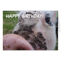 Niedliche Schwein-Geburtstags-Karte