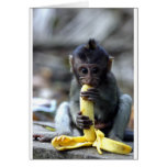 Niedlicher Baby Macaqueaffe, der Banane isst Grußkarte