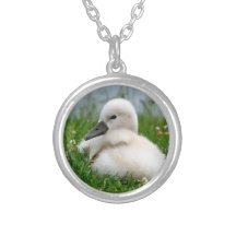 Niedlicher Baby-Schwan - Halskette
