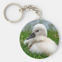 Niedlicher Baby-Schwan - Keychain Schlüsselband