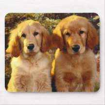 Niedlicher goldener Retriever-Welpen-Hund Mousepad