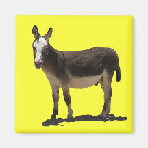 Niedlicher kleiner Burro - Esel Kühlschrankmagnete