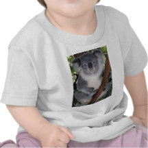 NIEDLICHER KOALA-BÄR TSHIRT