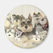 NIEDLICHER Minischnauzer-Magnet Kühlschrankmagnete