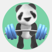 Niedliches Babypandabär powerlifter in 3d (editabl Aufkleber
