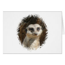 Niedliches Meerkat Karten