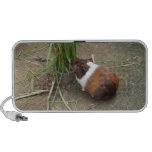 Niedliches Meerschweinchen Speaker
