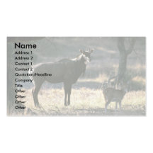 Nilgai, blauer Stier Visitenkarten