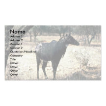Nilgai, blauer Stier Visitenkartenvorlage