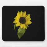 Noble Sonnenblume Mousepads