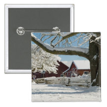 Nordamerika, USA, WA, Whidbey Insel. 2 Anstecknadelbuttons