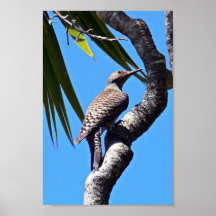 Nordaufflackern Plakat