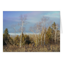 Nordmaine 27 grußkarten