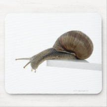 Normalsnail Mauspads