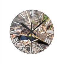 Northern Water Snake Reptile Wildlife Photo Wallclocks