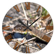 Northern Water Snake Reptile Wildlife Photo Wall Clock