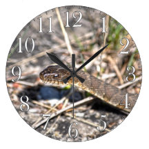 Northern Water Snake Reptile Wildlife Photo Wall Clocks