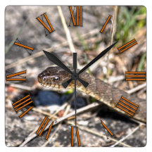 Northern Water Snake Reptile Wildlife Photo Wallclocks