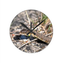 Northern Water Snake Reptile Wildlife Photo Round Wallclocks
