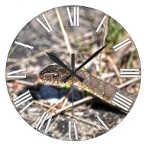 Northern Water Snake Reptile Wildlife Photo Wallclock
