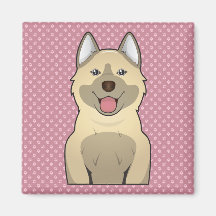 Norweger Elkhound Cartoon Magnete