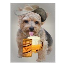 Norwich Terrier teilt ein Bier Postkarte