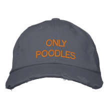 NUR PUDEL BESTICKTES CAP