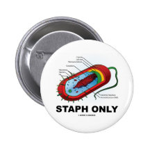Nur Staphylo (Bakterien-Gesundheits-Medizin-Spaß) Anstecknadelbutton