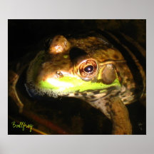 Ochsenfrosch-Plakat II (24" x 20")