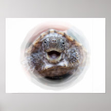 Offener runder Rahmen des Schildkrötemunds wütende Posterdrucke