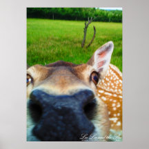 Oh Hai, Druck Plakat
