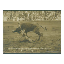 Oklahoma Culy bulldogging. Postkarte
