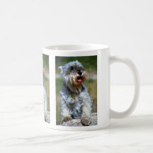 Olga, """" Schnauzer Kaffeetassen