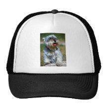 Olga, """" Schnauzer Retrokultmütze