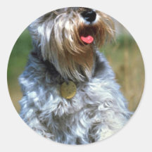 Olga, """" Schnauzer Runder Aufkleber