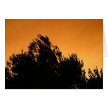 Olivenbaum-Silhouette am Sonnenuntergang Grußkarte