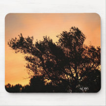 Olivenbaum-Silhouette am Sonnenuntergang Mousepads